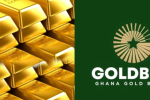 Andrews University Professor Backs Gold Board But Warns Against “Next COCOBOD” Risk